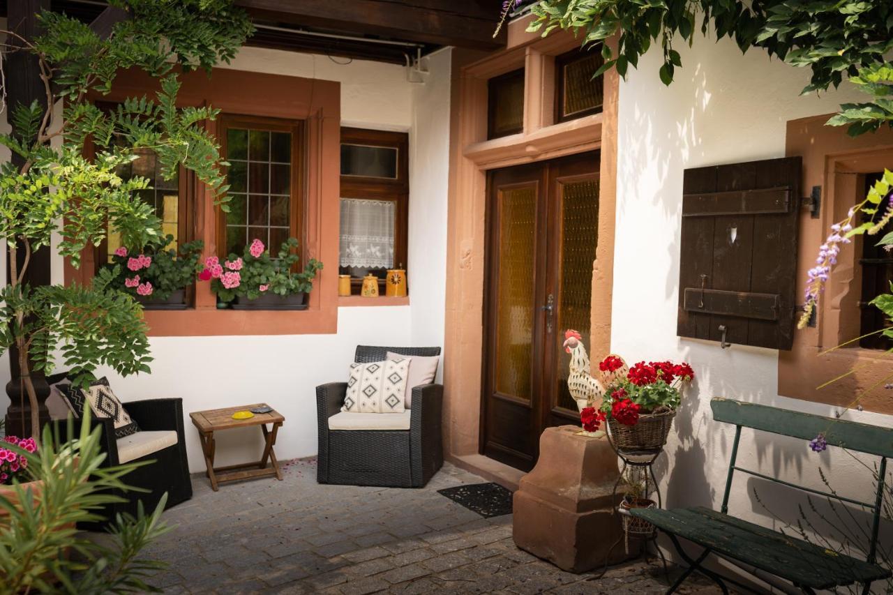 Maison Dietenbeck Wissembourg Ngoại thất bức ảnh