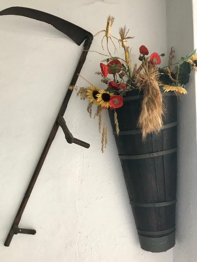 Maison Dietenbeck Wissembourg Ngoại thất bức ảnh