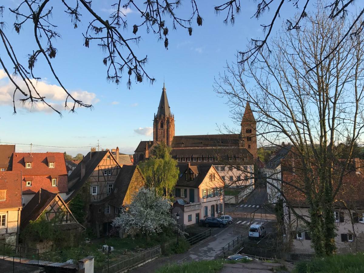 Maison Dietenbeck Wissembourg Ngoại thất bức ảnh